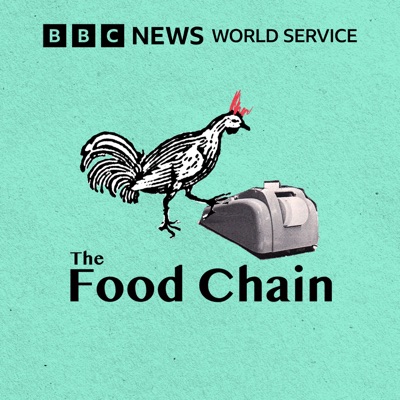 The Food Chain The Food Chain