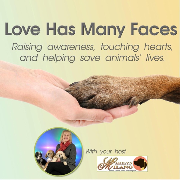 Love Has Many Faces Image