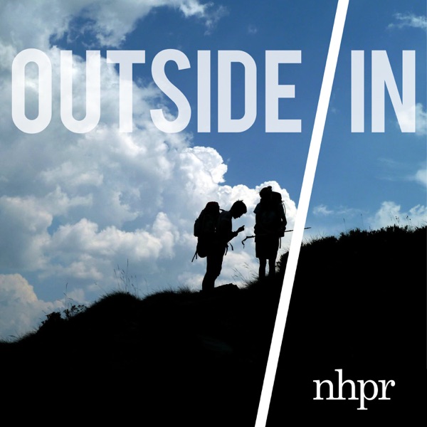 NHPR’s Outside/In: The New Space Race on Imperfect Paradise photo