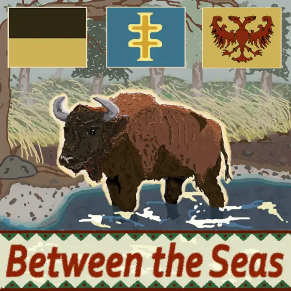 Between the Seas: A Central European History