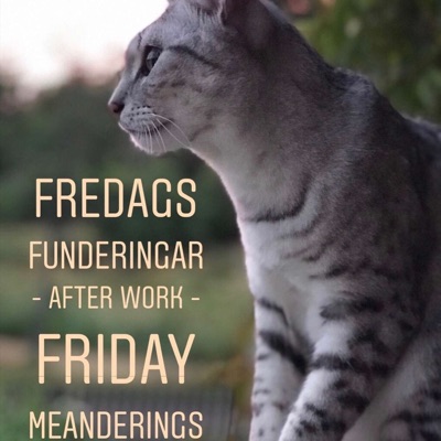 Fredags Funderingar - After Work - Friday Meanderings