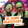 Do You Remember? - 30 Jahre Beatsteaks - radioeins new Single