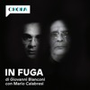 In Fuga - Sulle tracce di Matteo Messina Denaro