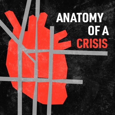 Anatomy of a Crisis: The Impact of Racism on Public Health in America