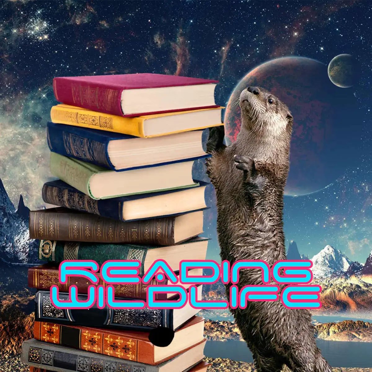 Nuova edizione del libro per il 20° anniversario del crepuscolo (Sono  bellissimi ma sono un po' deluso perché volevo di più, mi aspettavo  qualcosa di speciale per il 20° anniversario) #twilightsaga #twilight #, image size:1200x1200