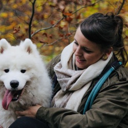 Was ist eine gute Hundeschule?