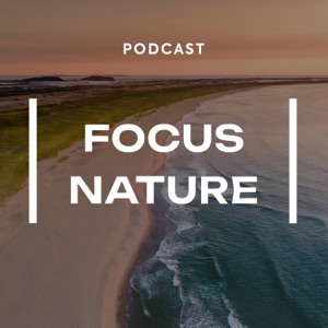 Focus Nature