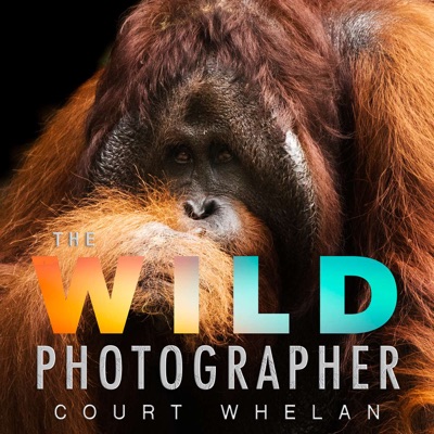 The Wild Photographer The Wild Photographer