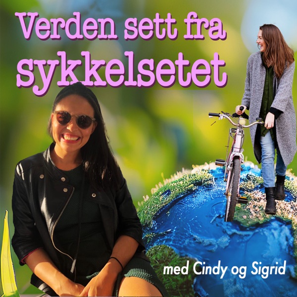Verden sett fra sykkelsetet