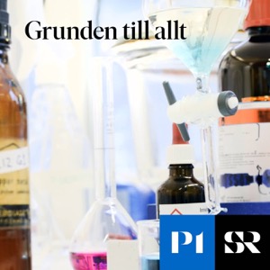 Grunden till allt