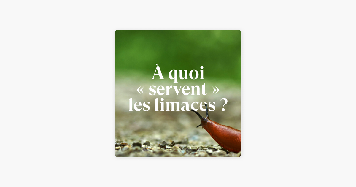 ‎La vie partout Ça sert à quoi les limaces ? on Apple Podcasts