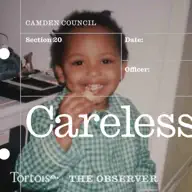Careless | Tortoise Investigates artwork