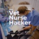 The Vet Nurse Hacker Podcast
