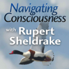 Navigating Consciousness with Rupert Sheldrake - Rupert Sheldrake