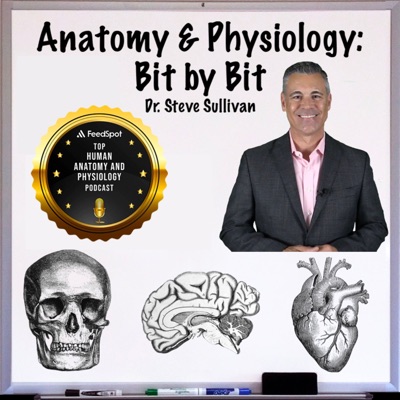 Anatomy and Physiology - Bit by Bit:Anatomy & Physiology - Bit by Bit