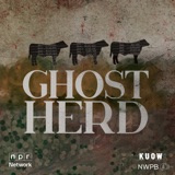 Introducing Ghost Herd, coming January 10