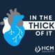 Navigating Cardiac Myosin Therapy: Insights for NYHA Class II HCM Patients