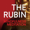 Mindfulness Meditation Podcast - Rubin Museum of Art
