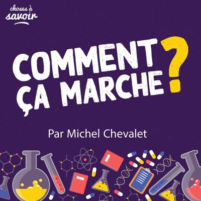 Comment ça marche ? par Michel Chevalet