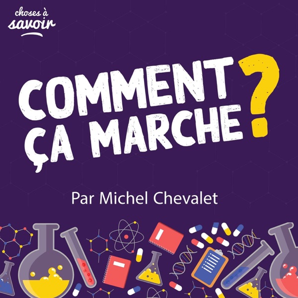 Couverture Comment ça marche ? par Michel Chevalet