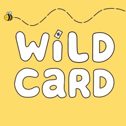 1.Welcome To Wildcard!