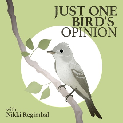 Just One Bird's Opinion
