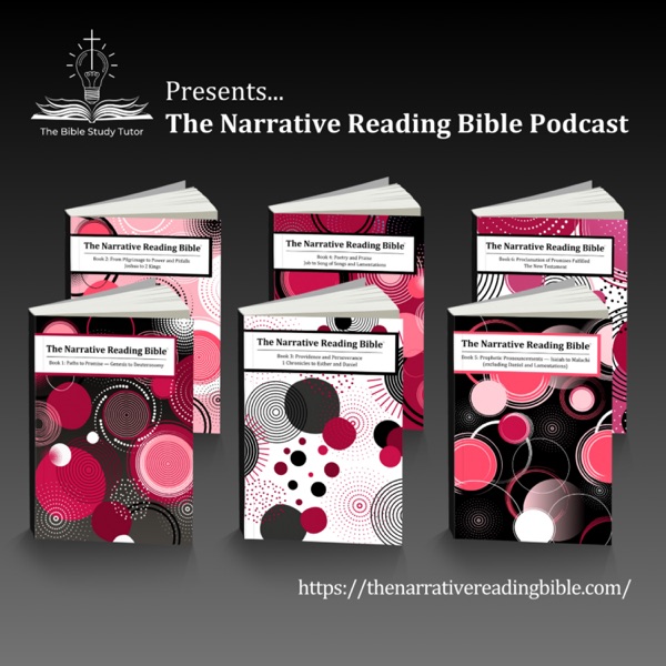 The Narrative Reading Bible 
