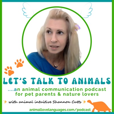 Highly Sensitive Pets & Highly Sensitive Pet Parents with Shannon & HSP Coach Jane Marie