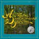 Атожылкі няскоранай дубровы