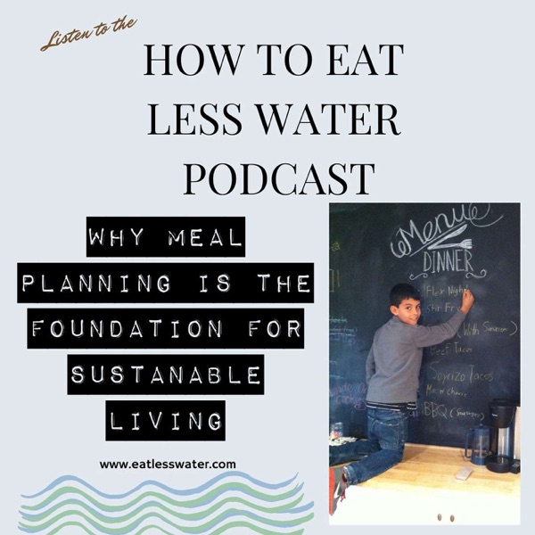 WHY MEAL PLANNING IS THE FOUNDATION FOR SUSTAINABLE LIVING photo