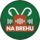 Na brehu