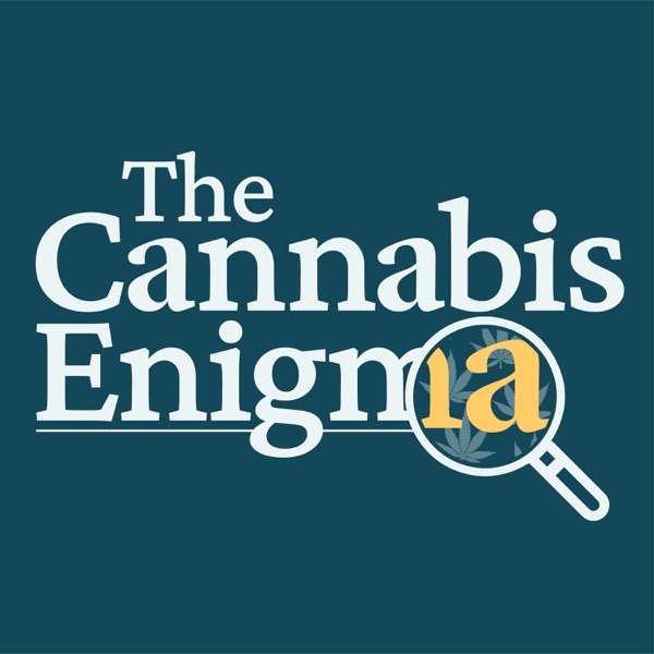 Cannabis and traumatic brain injury, with Nikki Lawley photo