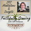 Internal Family Systems (IFS) Meditations and Insights: Faithfully Growing with Tim Fortescue - Faithfully Growing with Tim Fortescue