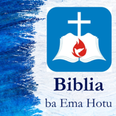 Rona Testamentu Foun ho lian Tetun artwork