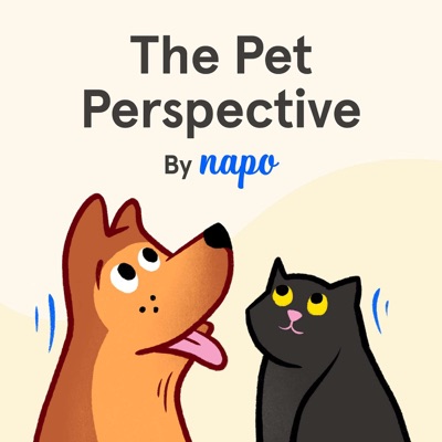 The Pet Perspective by Napo The Pet Perspective by Napo