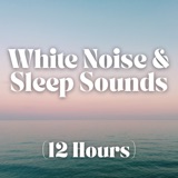 Wolves Howling in Icy Blizzard & Snowstorm | Sleep Sound (12 Hours) podcast episode