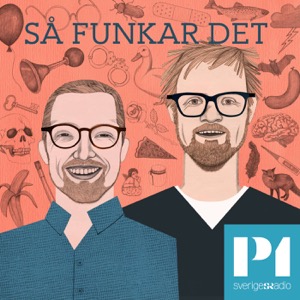 Så funkar det