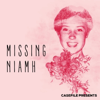 Missing Niamh - Casefile Presents
