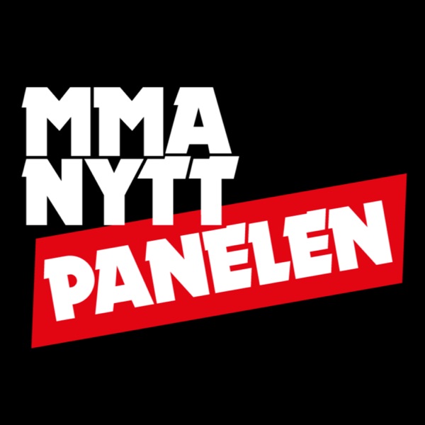 MMAnytt-Panelen