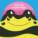 Spotted Poison Frog | Week of Dartch 27th