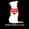 Everything Dog NY-Dog Talk