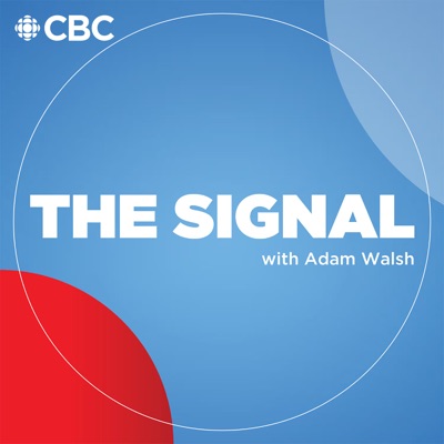 The Signal The Signal