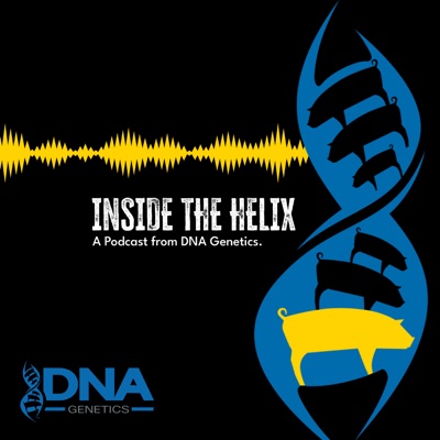 Inside the Helix