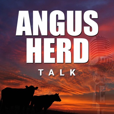 Angus Herd Talk Angus Herd Talk