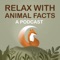 Relax With Animal Facts