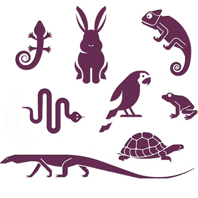 Exotic Pets™ Exotic Pets™