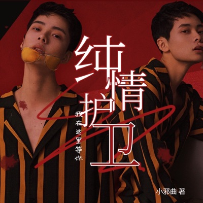 纯情护卫都市现代