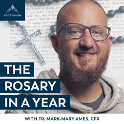 The Rosary in a Year (with Fr. Mark-Mary Ames)