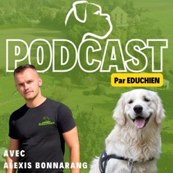 Occuper son CHIEN : Trouver le bon équilibre entre activité et repos 🐶 - EDUCHIEN PODCAST 🎙️