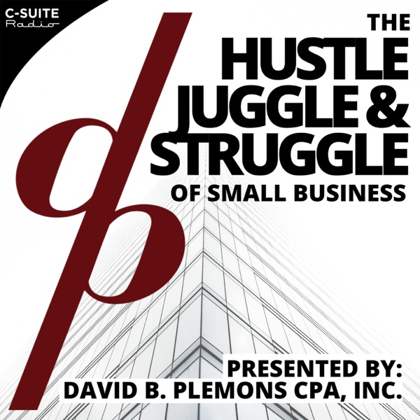 The Hustle, Juggle, and Struggle of Small Business cover